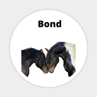 BOND Magnet